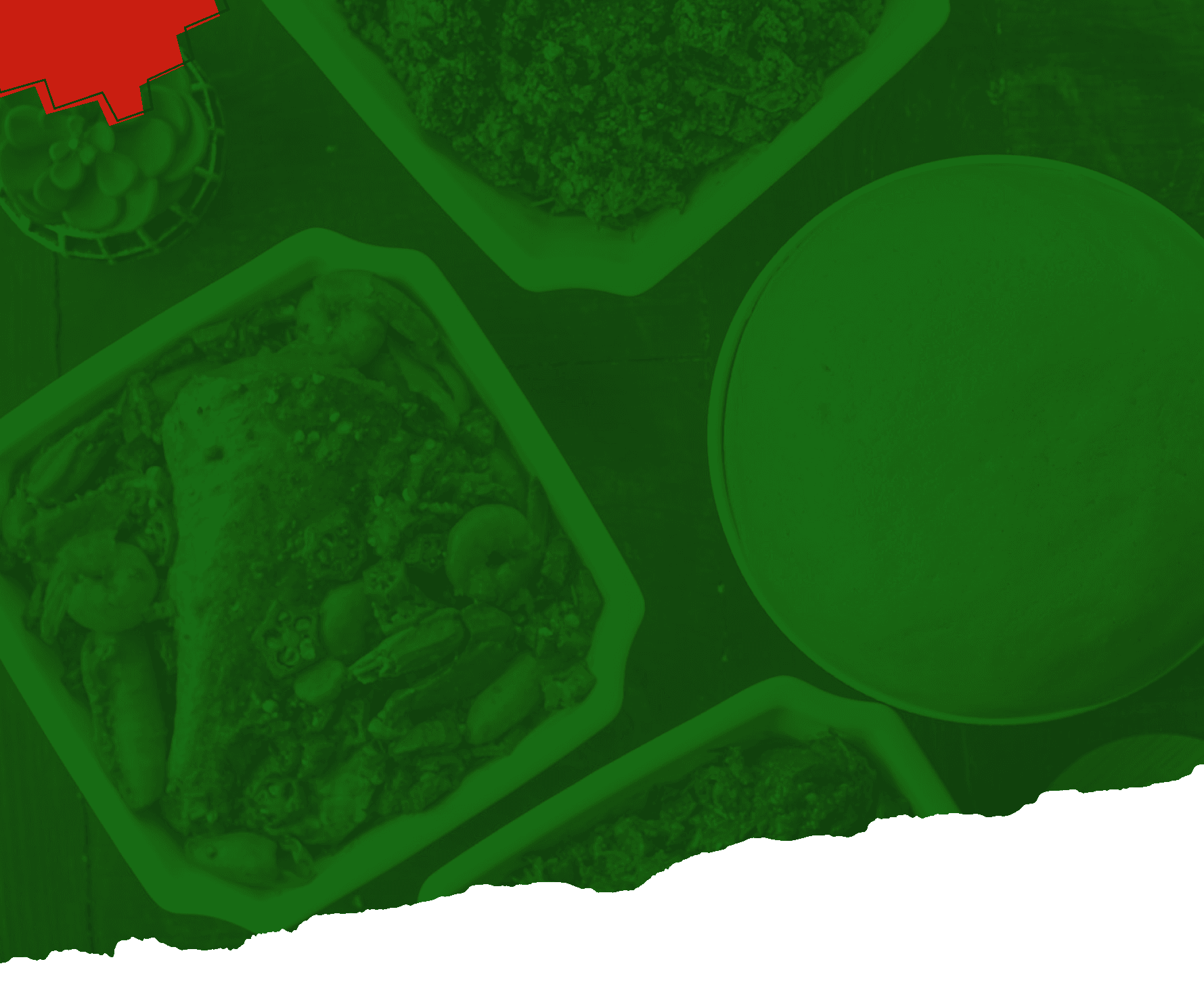 Register section background